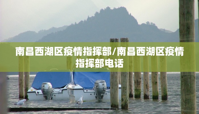 南昌西湖区疫情指挥部/南昌西湖区疫情指挥部电话