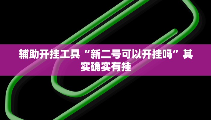 辅助开挂工具“新二号可以开挂吗”其实确实有挂
