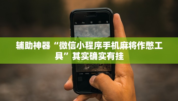 辅助神器“微信小程序手机麻将作憋工具”其实确实有挂