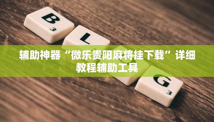 辅助神器“微乐贵阳麻将挂下载”详细教程辅助工具
