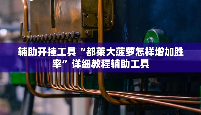 辅助开挂工具“都莱大菠萝怎样增加胜率”详细教程辅助工具