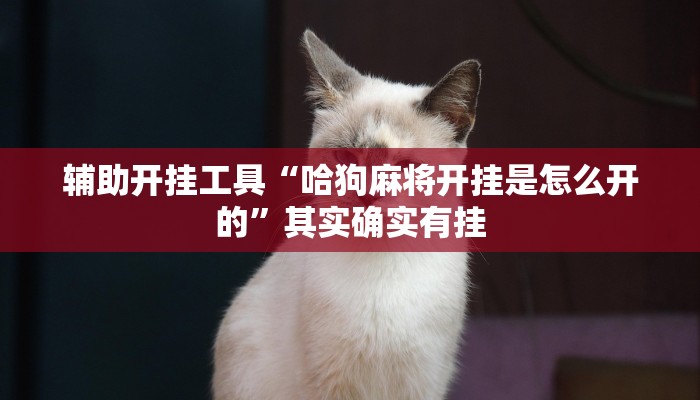 辅助开挂工具“哈狗麻将开挂是怎么开的”其实确实有挂