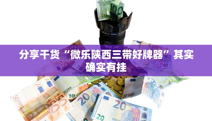 分享干货“微乐陕西三带好牌器”其实确实有挂