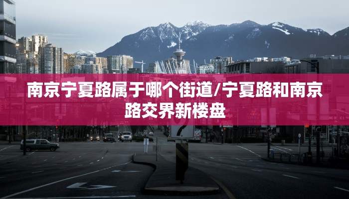 南京宁夏路属于哪个街道/宁夏路和南京路交界新楼盘