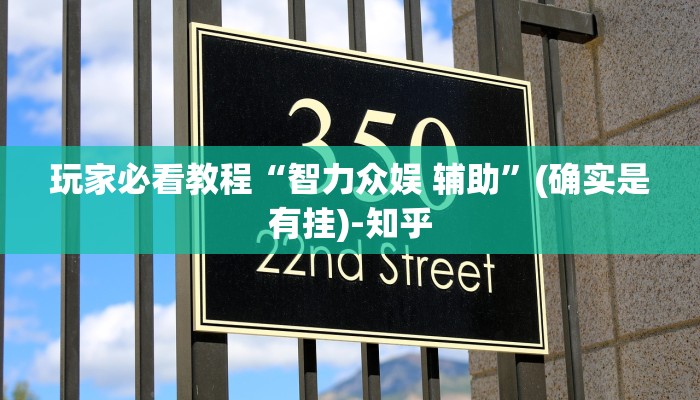 玩家必看教程“智力众娱 辅助”(确实是有挂)-知乎