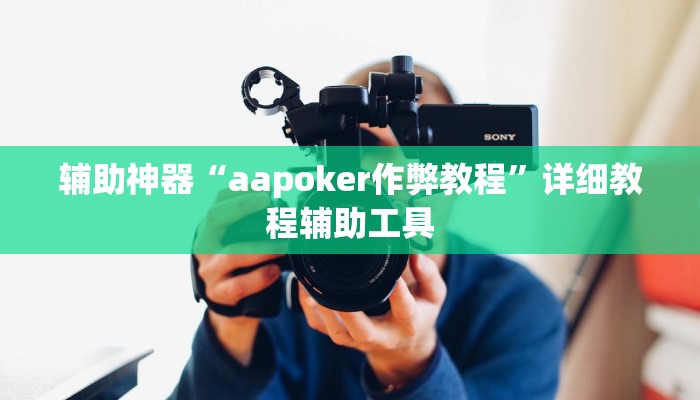 辅助神器“aapoker作弊教程”详细教程辅助工具