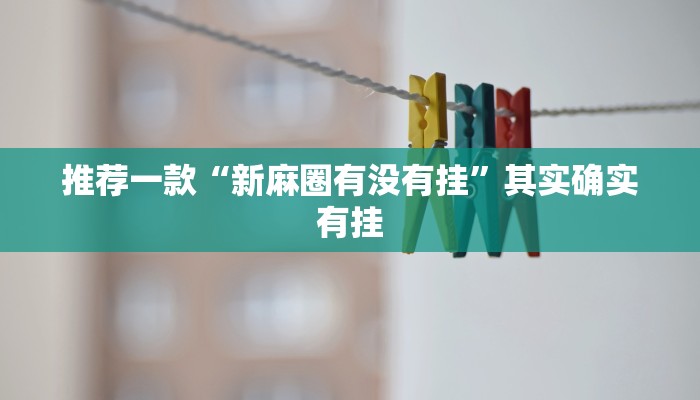 推荐一款“新麻圈有没有挂”其实确实有挂