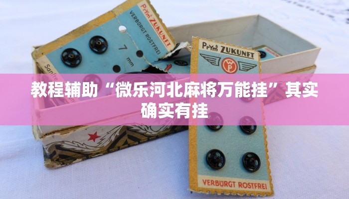 教程辅助“微乐河北麻将万能挂”其实确实有挂