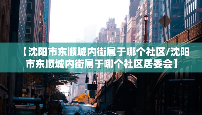 【沈阳市东顺城内街属于哪个社区/沈阳市东顺城内街属于哪个社区居委会】