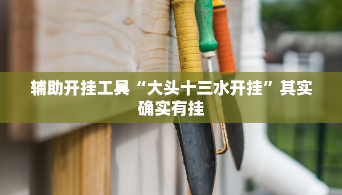 辅助开挂工具“大头十三水开挂”其实确实有挂