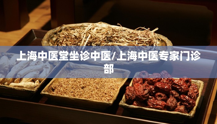 上海中医堂坐诊中医/上海中医专家门诊部