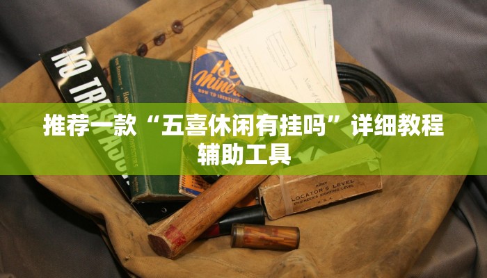 推荐一款“五喜休闲有挂吗”详细教程辅助工具