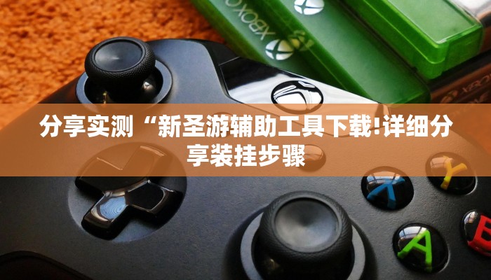 分享实测“新圣游辅助工具下载!详细分享装挂步骤
