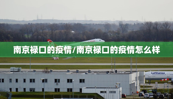 南京禄口的疫情/南京禄口的疫情怎么样