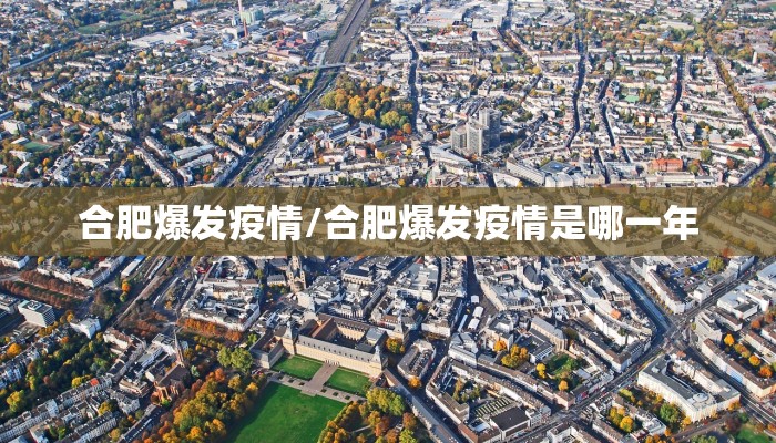 合肥爆发疫情/合肥爆发疫情是哪一年