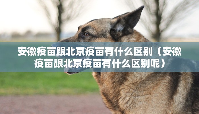安徽疫苗跟北京疫苗有什么区别（安徽疫苗跟北京疫苗有什么区别呢）