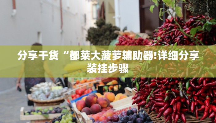 分享干货“都莱大菠萝辅助器!详细分享装挂步骤
