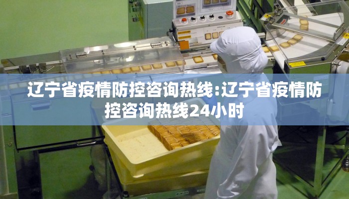 辽宁省疫情防控咨询热线:辽宁省疫情防控咨询热线24小时
