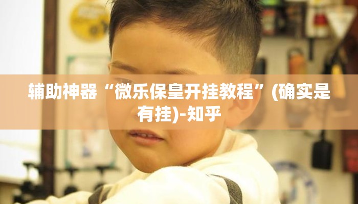 辅助神器“微乐保皇开挂教程”(确实是有挂)-知乎