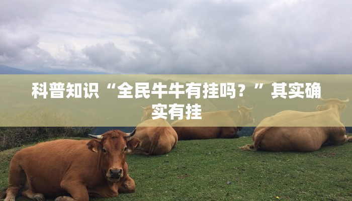 科普知识“全民牛牛有挂吗？”其实确实有挂