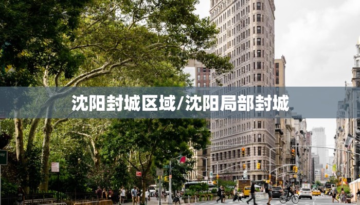沈阳封城区域/沈阳局部封城