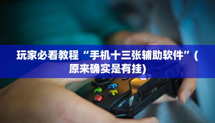 玩家必看教程“手机十三张辅助软件”(原来确实是有挂)