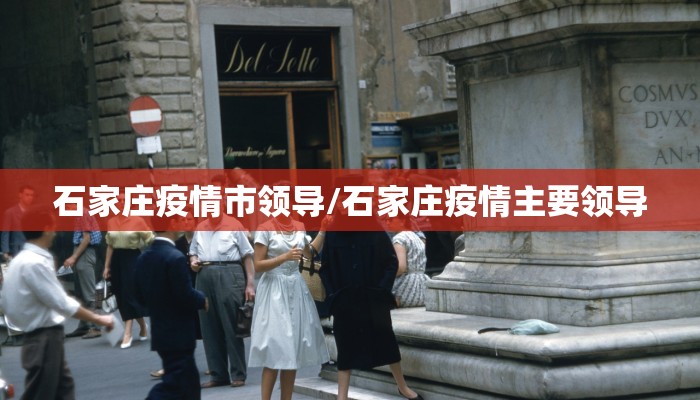 石家庄疫情市领导/石家庄疫情主要领导