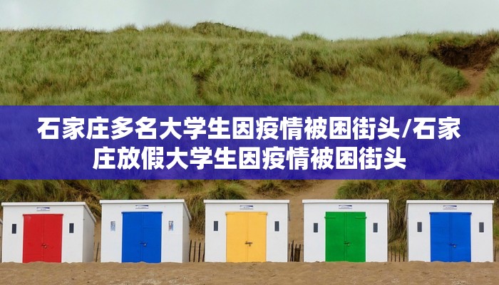 石家庄多名大学生因疫情被困街头/石家庄放假大学生因疫情被困街头