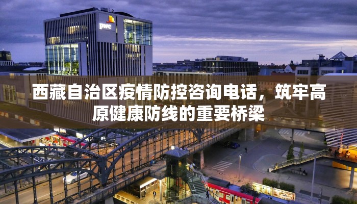西藏自治区疫情防控咨询电话，筑牢高原健康防线的重要桥梁