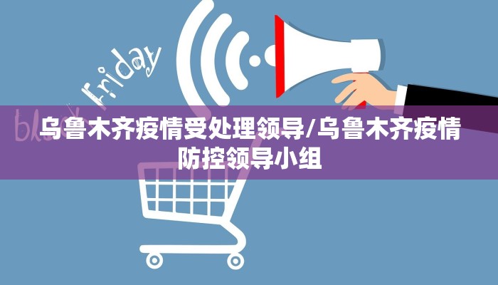 乌鲁木齐疫情受处理领导/乌鲁木齐疫情防控领导小组