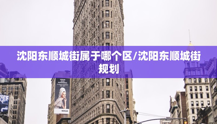 沈阳东顺城街属于哪个区/沈阳东顺城街规划