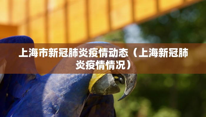 上海市新冠肺炎疫情动态（上海新冠肺炎疫情情况）
