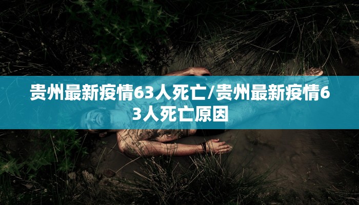 贵州最新疫情63人死亡/贵州最新疫情63人死亡原因