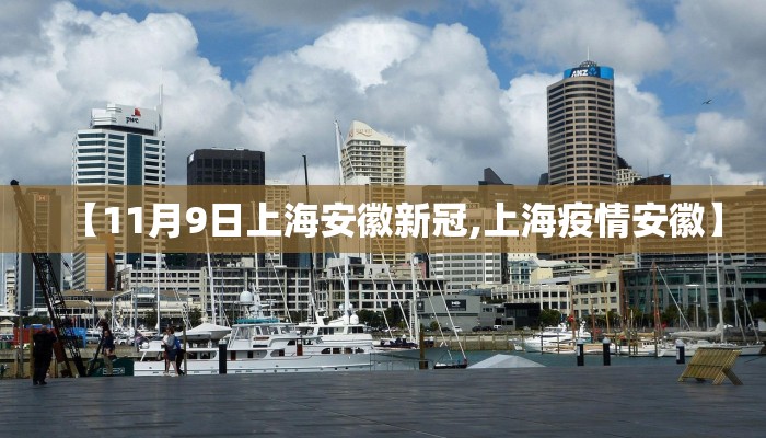 【11月9日上海安徽新冠,上海疫情安徽】