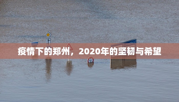 疫情下的郑州，2020年的坚韧与希望