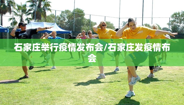 石家庄举行疫情发布会/石家庄发疫情布会