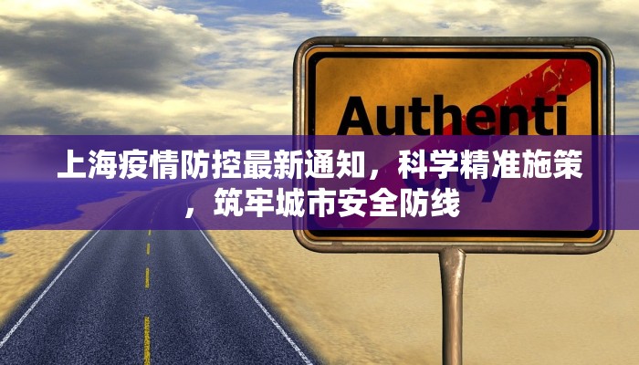 上海疫情防控最新通知，科学精准施策，筑牢城市安全防线